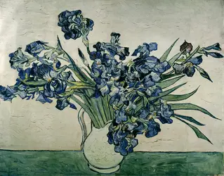 <it>Vase aux iris</it>, V. Van Gogh - crédits : AKG-images