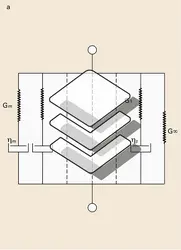 Modèles de Maxwell et de Kelvin-Voigt - crédits : Encyclopædia Universalis France