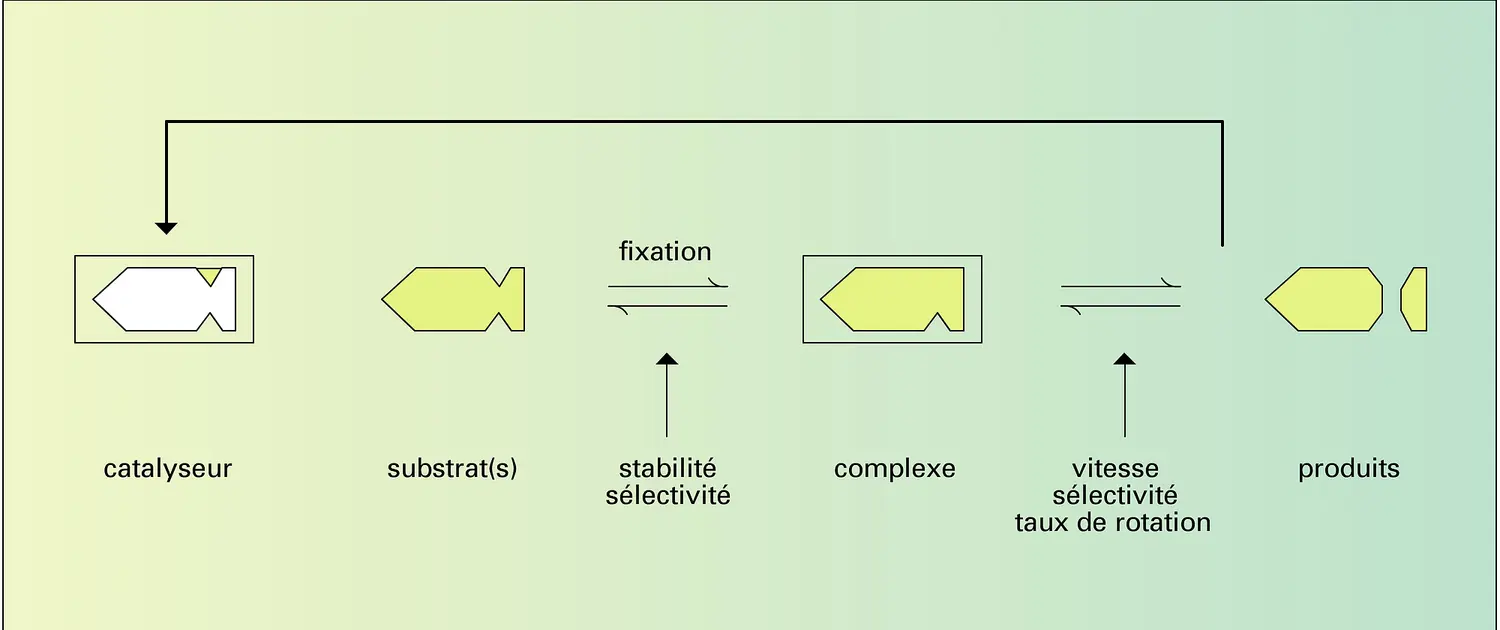 Catalyse supramoléculaire