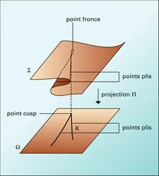 Projection de deux plis - crédits : Encyclopædia Universalis France