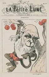Charles Darwin caricaturé par André Gill - crédits : Gallica.fr/ BnF ; cote : 4-LC13-289