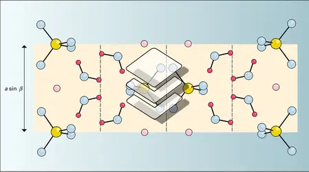 Gypse : structure - crédits : Encyclopædia Universalis France