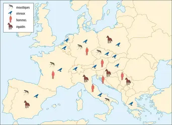Virus Usutu en Europe - crédits : Encyclopædia Universalis France