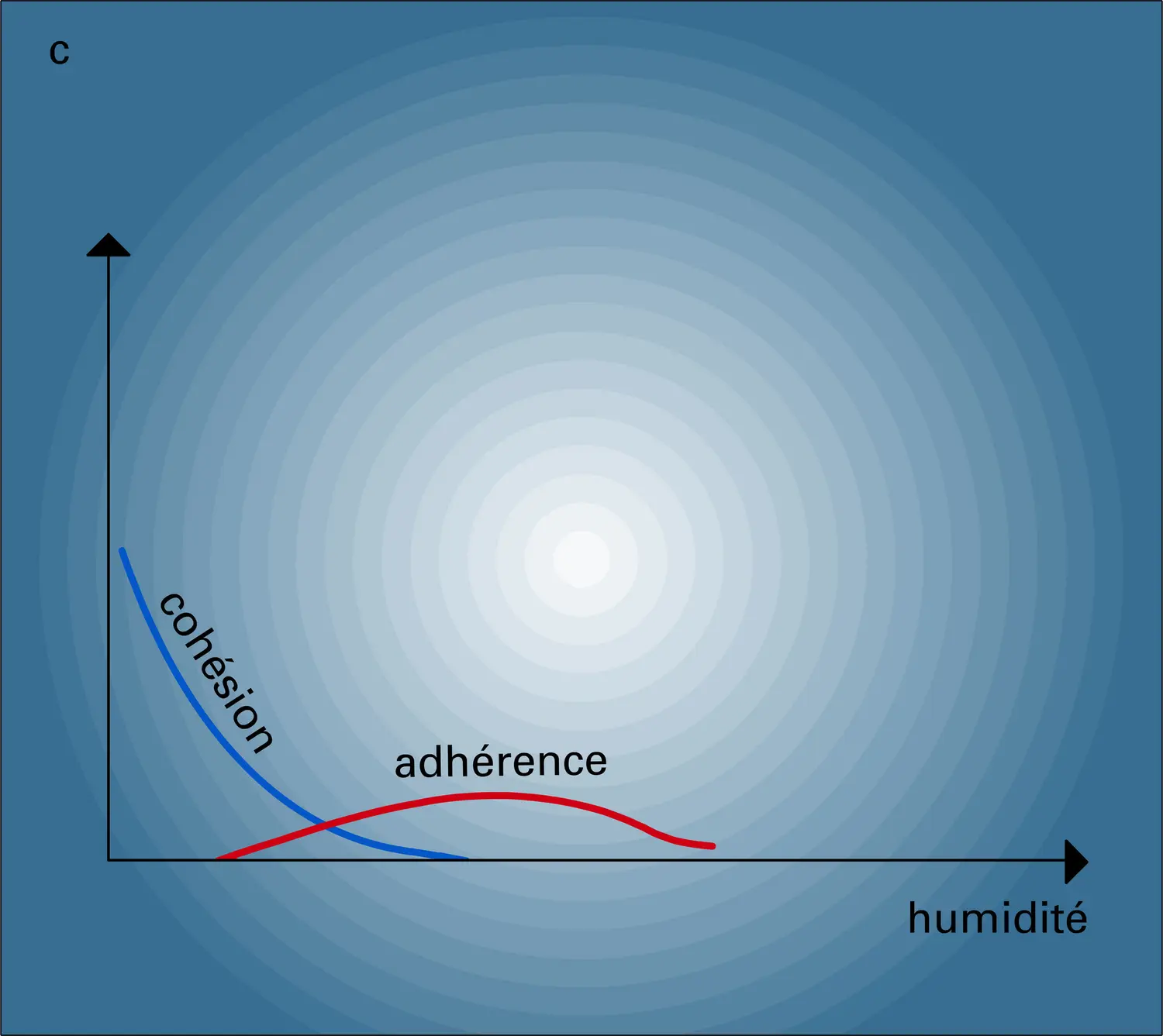 Cohésion, adhérence et humidité - vue 3