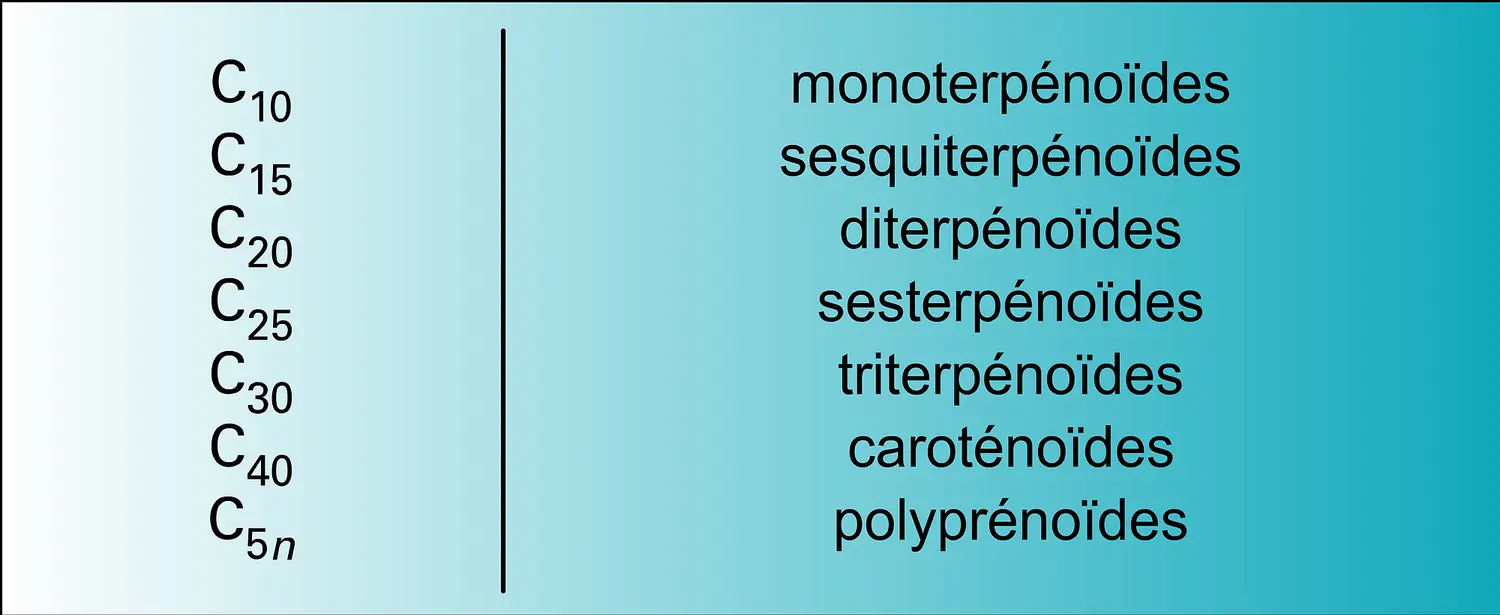 Terpénoïdes : différentes classes