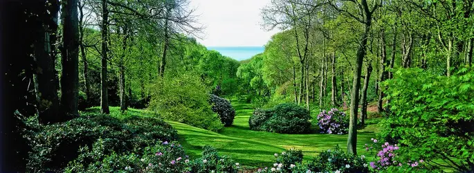 Bois de Morville, vue de printemps, Pascal Cribier - crédits : P. Cribier