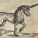 La licorne de Gessner
 - crédits : Wellcome Library, London 