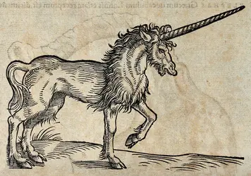 La licorne de Gessner
 - crédits : Wellcome Library, London 