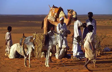 Nomadisme au Soudan - crédits : C. Sappa/ De Agostini/ Getty Images