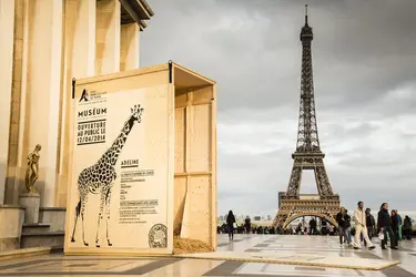 Publicité pour le Parc zoologique de Paris - crédits : A. Fevrier