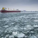 Les glaces du Saint-Laurent, Canada - crédits : Aluma Images/ Getty Images