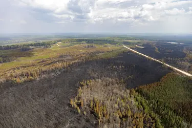 Feux de forêt au Canada, 2023 - crédits : Megan Albu/ AFP