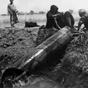 Irrigation - crédits : J W Thomas/ Getty Images