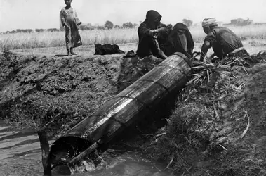 Irrigation - crédits : J W Thomas/ Getty Images