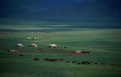 Chevaux en Mongolie - crédits : Michel Setboun/ The Image Bank/ Getty Images