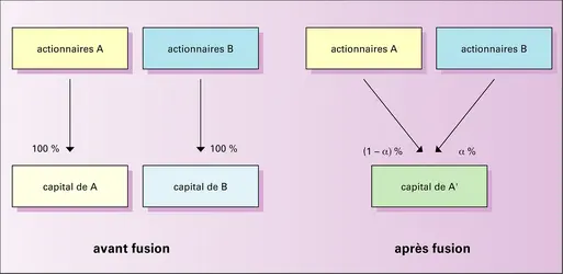Fusion d'entreprises - crédits : Encyclopædia Universalis France