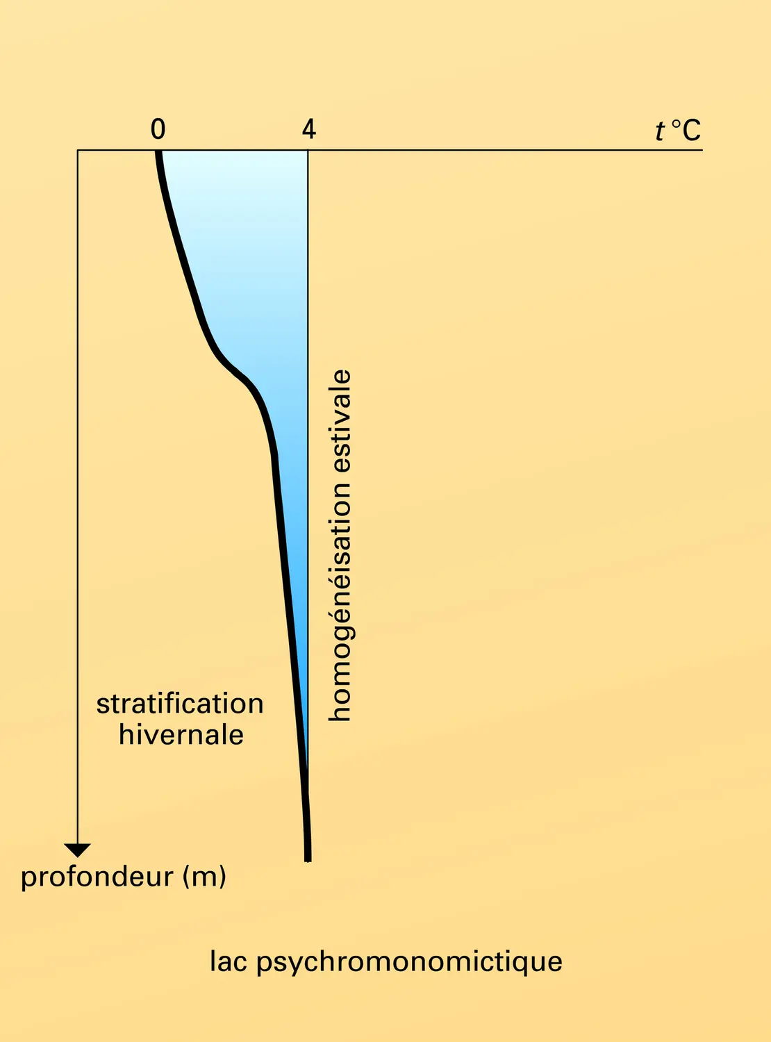 Évolution de la température des lacs holomictiques - vue 3