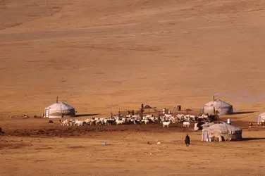 Troupeau de moutons et <it>ger</it> (Mongolie) - crédits : Michel Setboun/ The Image Bank/ Getty Images
