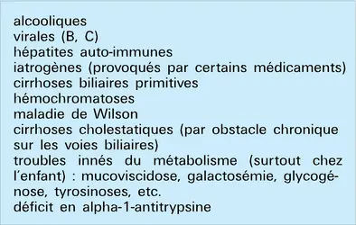 Cirrhoses - crédits : Encyclopædia Universalis France