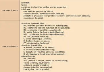 Nutriments apportés par voie parentérale ou latérale - crédits : Encyclopædia Universalis France