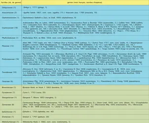 Sous-embranchement des <rm>Pinophytina</rm> ou <rm>Gymnospermae</rm> : les 16 familles et 80 genres actuels - crédits : Encyclopædia Universalis France