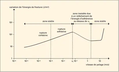 Variation de l'énergie de fracture avec la vitesse de pelage - crédits : Encyclopædia Universalis France
