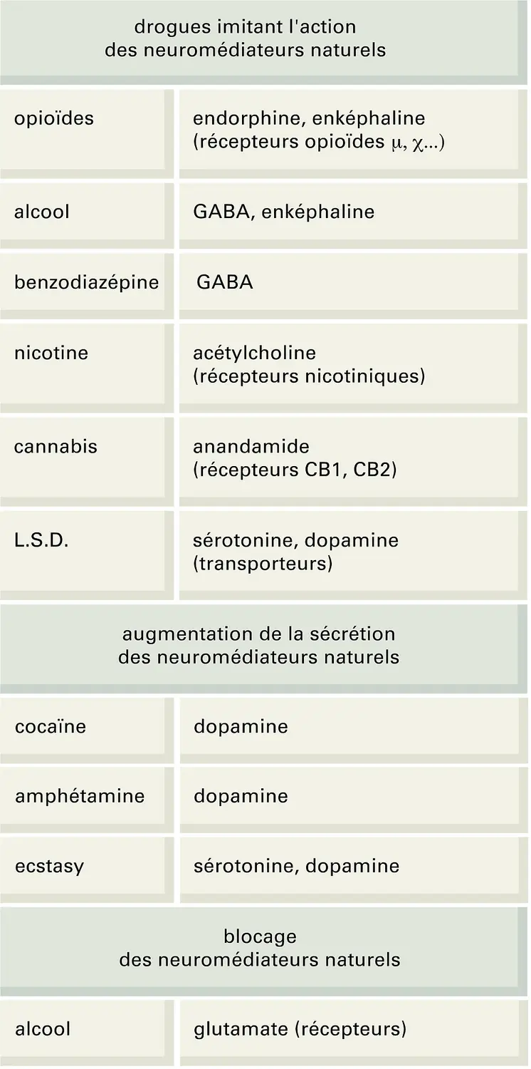 Action des drogues