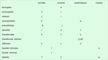 Consonnes - crédits : Encyclopædia Universalis France