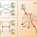Multiplexage dans un réseau - crédits : Encyclopædia Universalis France
