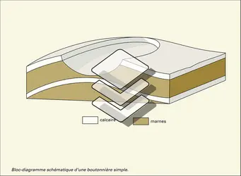 Boutonnière simple et coupe transversale du Bray central - crédits : Encyclopædia Universalis France