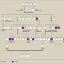 Hérédité familiale : la descendance de la reine Victoria - crédits : Encyclopædia Universalis France