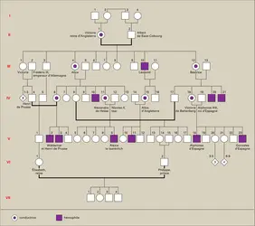 Hérédité familiale : la descendance de la reine Victoria - crédits : Encyclopædia Universalis France