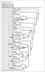 Actinoptérygiens actuels et fossiles - crédits : Encyclopædia Universalis France