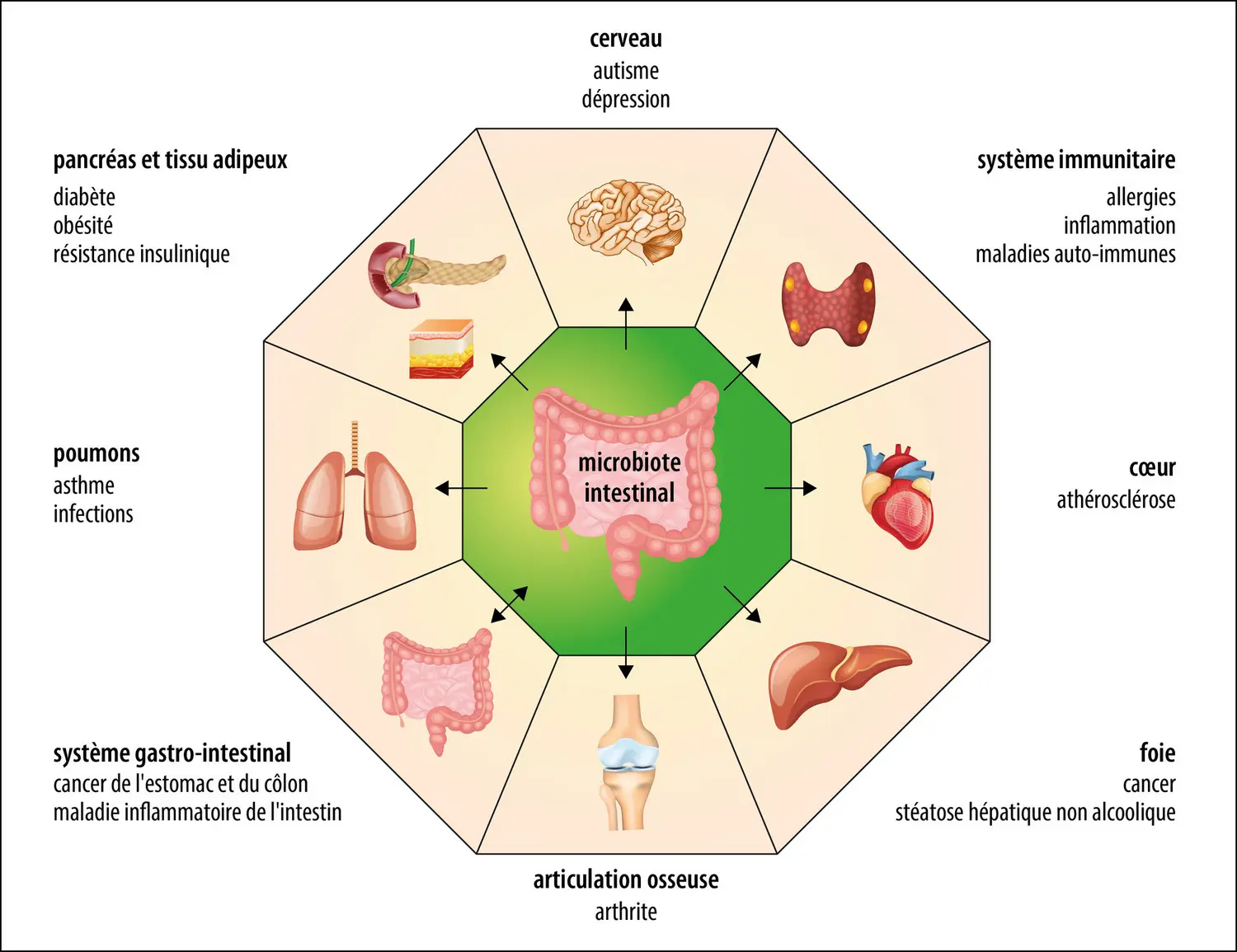 Diversité des maladies liées au microbiote intestinal