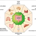 Diversité des maladies liées au microbiote intestinal - crédits : Encyclopædia Universalis France