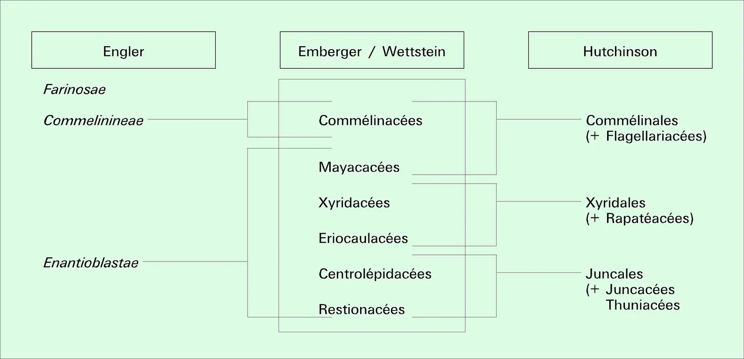 Systèmes de classification