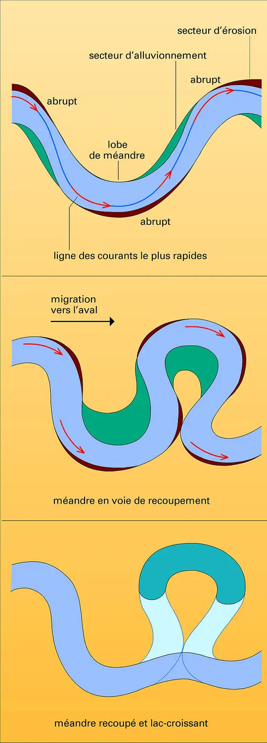 Dynamique des méandres