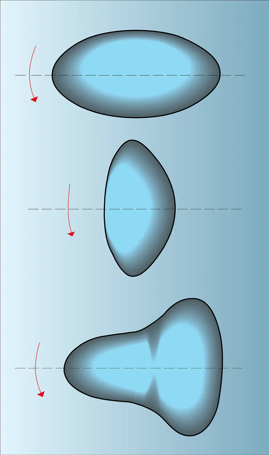 Formes de noyaux