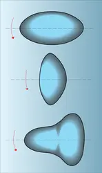 Formes de noyaux - crédits : Encyclopædia Universalis France