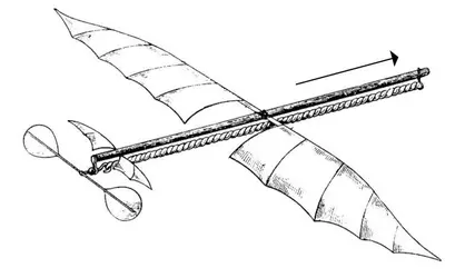 Planophore - crédits : Coll. Charles Dollfus/ DR