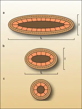 Plis cylindrique, conique et quelconque