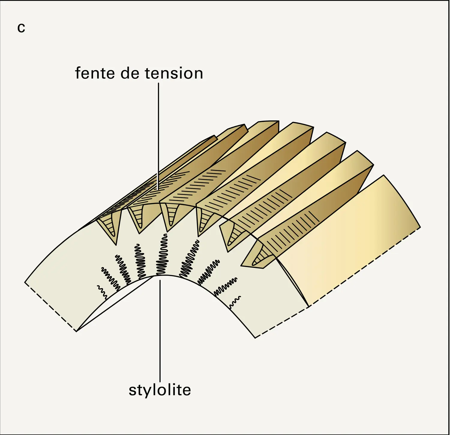 Plis : déformations - vue 3