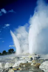 Geysers en Nouvelle-Zélande - crédits : John Lamb/ Getty Images