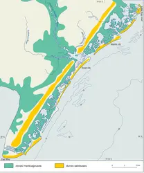 Côte à îles-barrières - crédits : Encyclopædia Universalis France