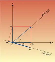 Lame biréfringente et vibrations - crédits : Encyclopædia Universalis France