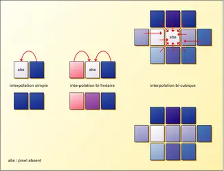 Photographie numérique : interpolation - crédits : Encyclopædia Universalis France