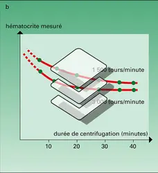 Mesure du taux d'hématocrite - crédits : Encyclopædia Universalis France