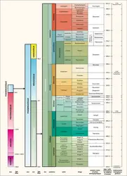 Paléozoïque : échelle stratigraphique - crédits : Encyclopædia Universalis France