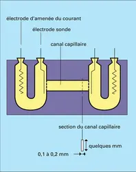 Cellule d'électrophorèse - crédits : Encyclopædia Universalis France
