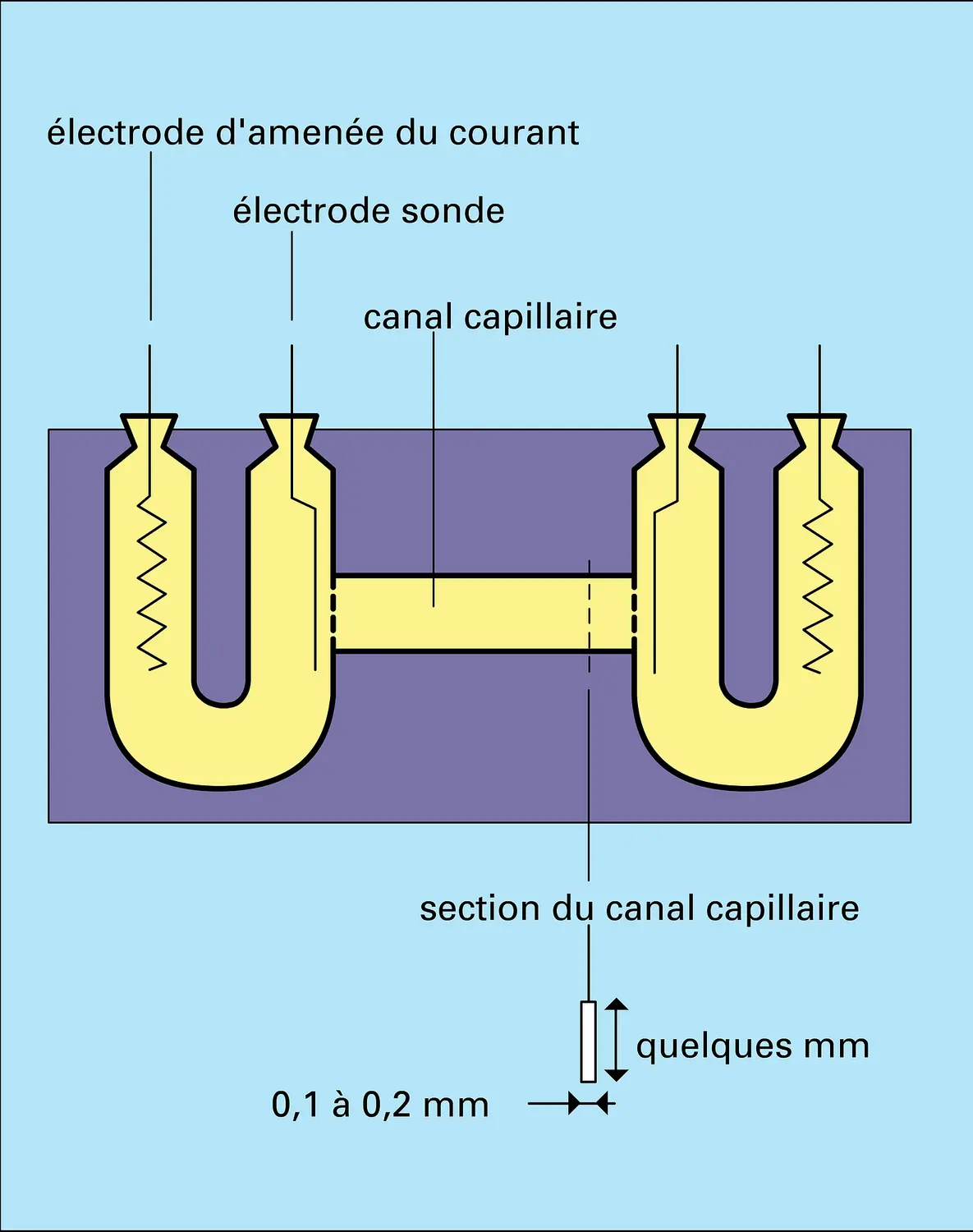 Cellule d'électrophorèse